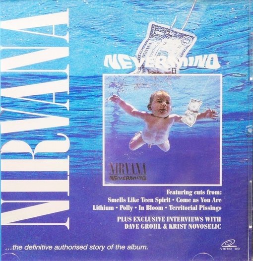 nirvana nevermind cover edited