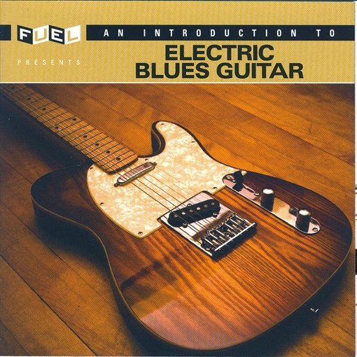 Download An Introduction to Electric Blues Guitar NEW CD Original recording remastered 30206165029 | eBay