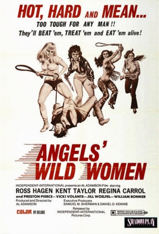 Angels Wild Women New Dvd 737088096242 Ebay 3600